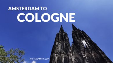 cologne