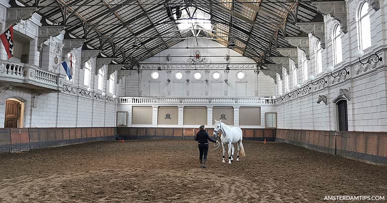 hollandsche manege living horse museum amsterdam