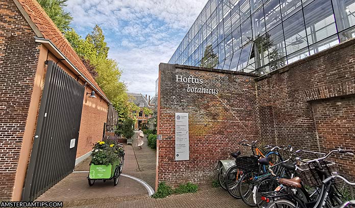 hortus botanicus leiden - botanical gardens