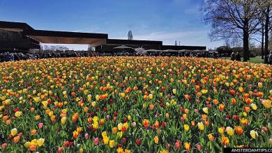 keukenhof flower garden