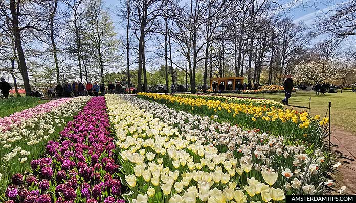 keukenhof gardens