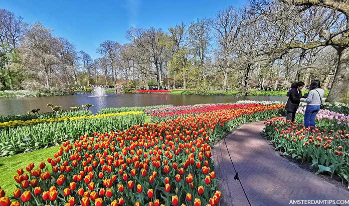 keukenhof tour