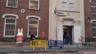 nijntje museum utrecht