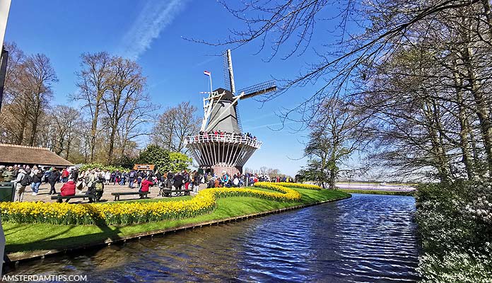 windmill keukenhof